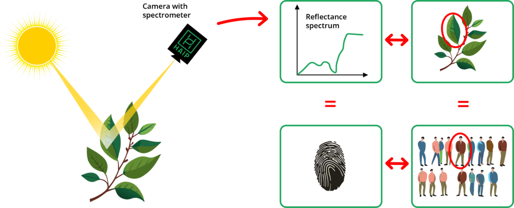 Hyperspectral Imaging explained in a graphic