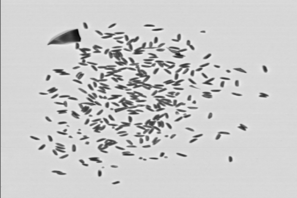 Greyscale image of rice mixed with plastic