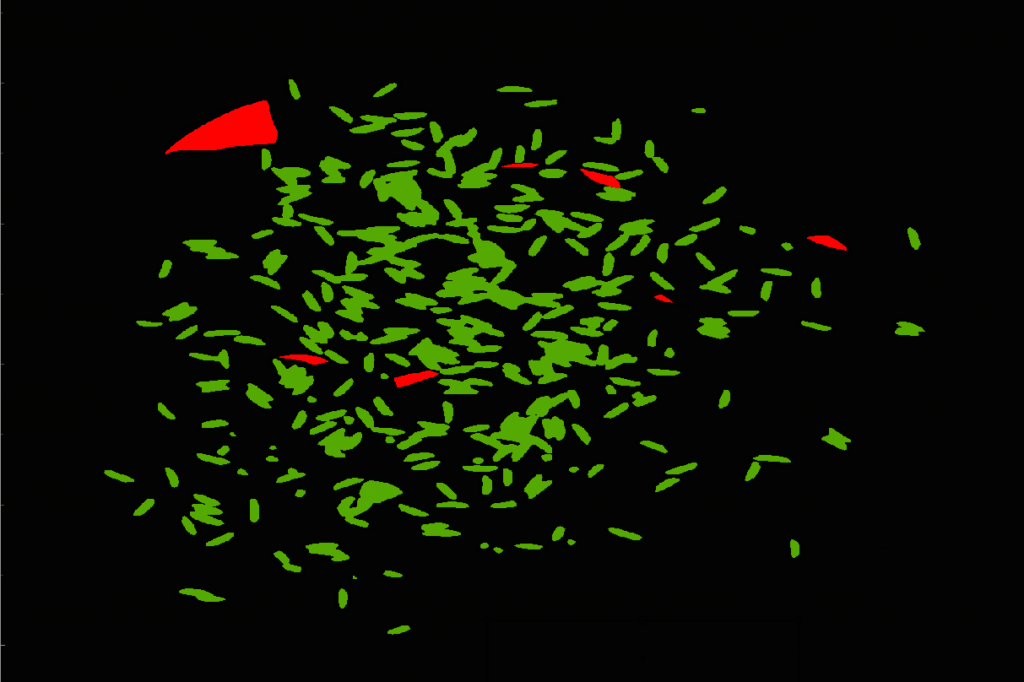 classified hyperspectral image of rice mixed with plastic