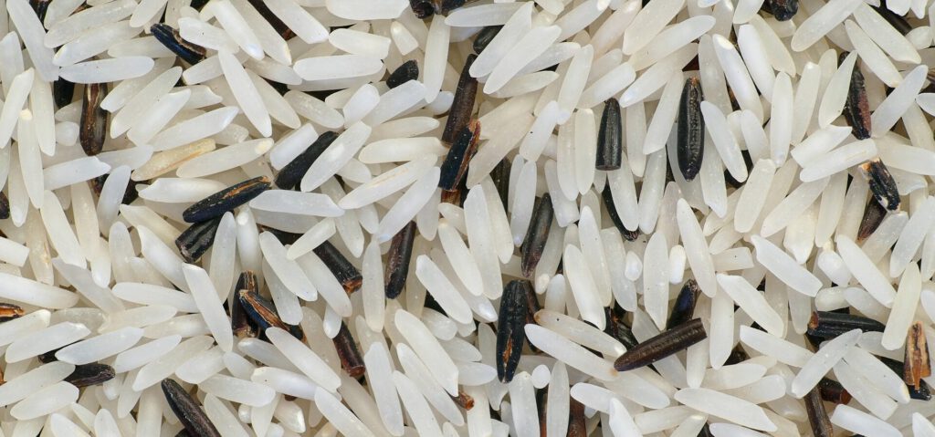 Rice and Plastic