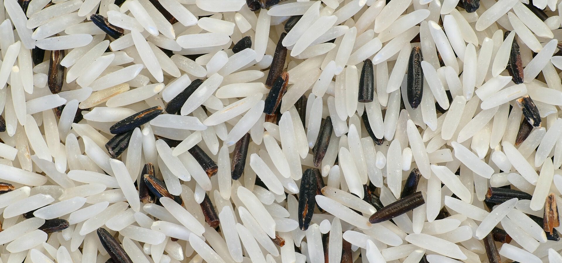 Application Note Hyperspectral Imaging Plastic in Rice