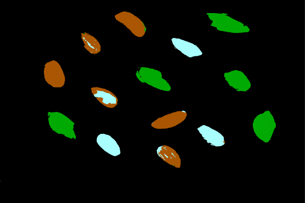 hyperspectral image of different almond components