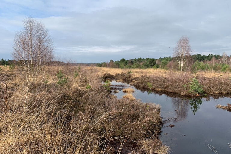 hyperspectral imaging application note environmental monitoring