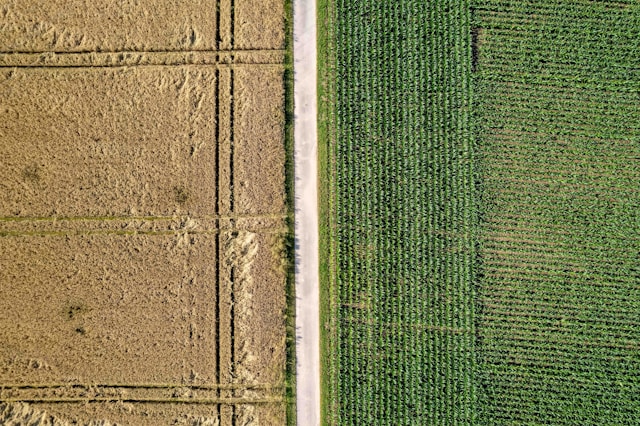 HAIP Solutions Joint research project PWGram