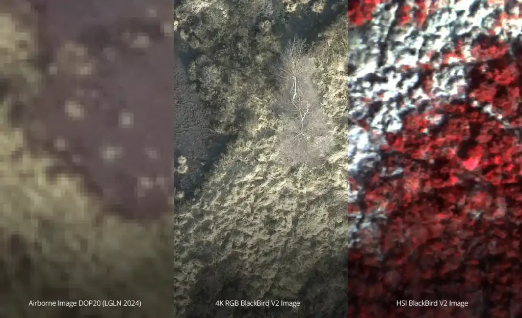 ReSe_Slider_BlackBirdV2_min