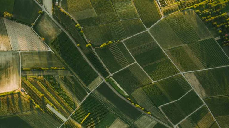Hyperspectral Imaging Application Environmental Monitoring