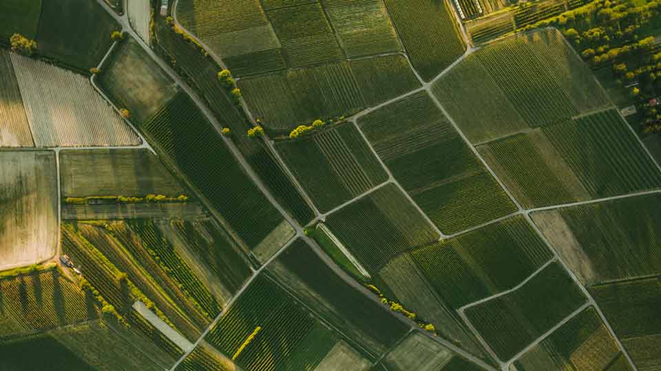 Hyperspectral Imaging Application Environmental Monitoring