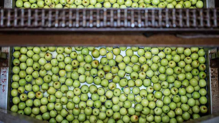 Hyperspectral Imaging Application Food Industry